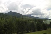 49 - Jasper to Sun Peaks - IMG_1294